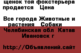 щенок той-фокстерьера продается › Цена ­ 25 000 - Все города Животные и растения » Собаки   . Челябинская обл.,Катав-Ивановск г.